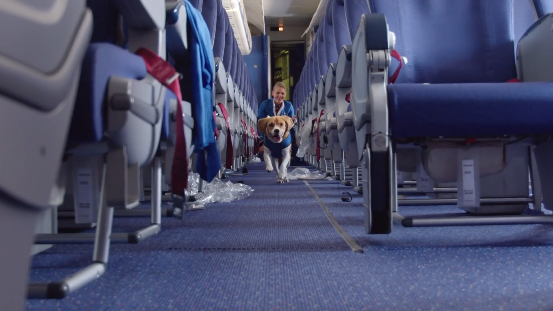 L o s t &nbsp & &nbsp F o u n d